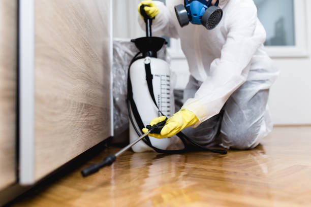 Best Commercial Pest Control Services  in Shepherdstown, WV