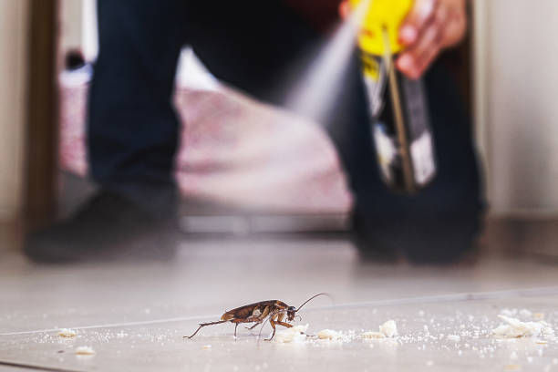 Insect Control in Shepherdstown, WV